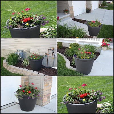 Grey planters and new plants.