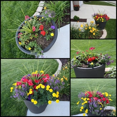 grey planters and flowers