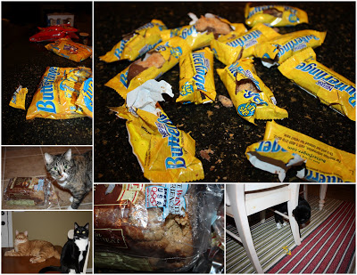 Wrappers of Halloween candy on the floor.