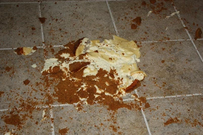 Cheesecake on the floor.