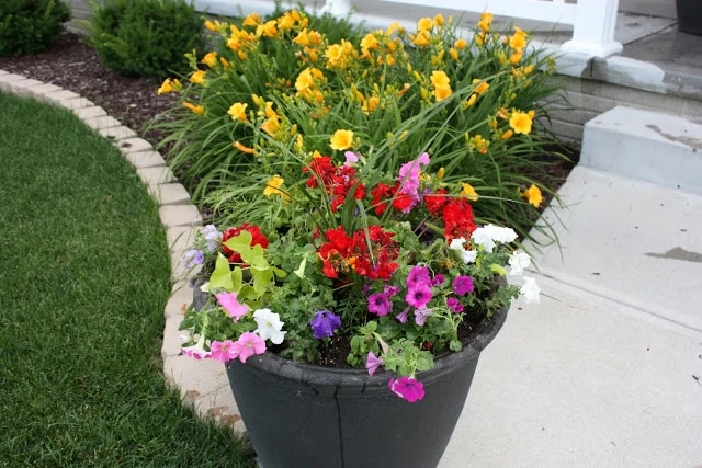 A colorful planter in the front of the house with pink, red, purple and yellow flowers.