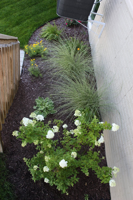 A small garden in the back of the house.