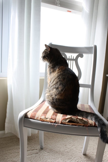 One of the chairs painted white with a ripped seat.