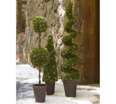 Topiaries on the front porch in the snow.