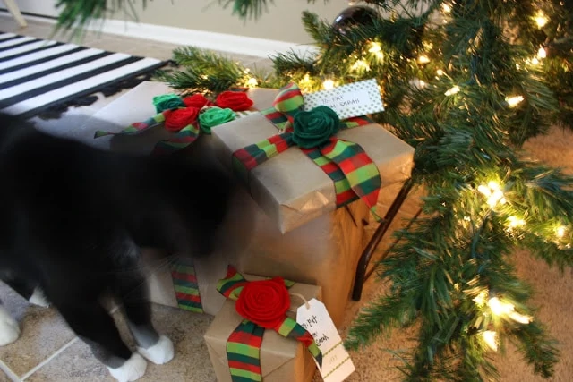 The presents and a black cat with white paws.