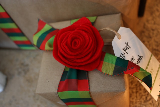 Up close picture of a red rosette flower on the present.