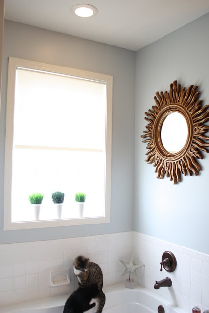 Two cats in the bathtub playing.