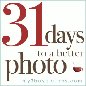 31 days to a better photo graphic.