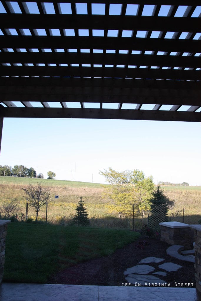 Pergola in the backyard.