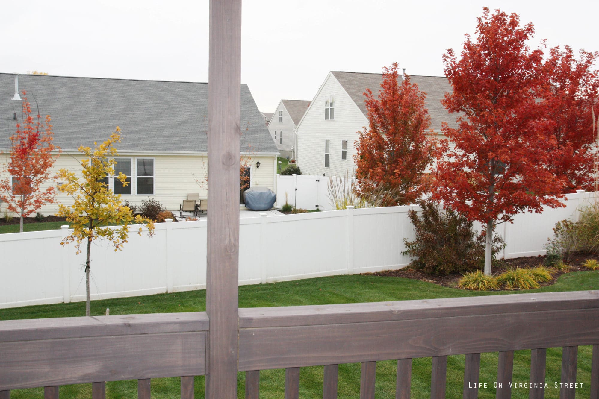 The outdoor backyard with a tree whose leaves are turning red.