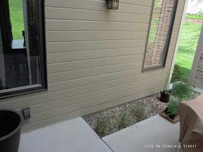 The concrete slabs on the courtyard.