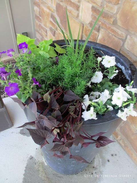 A planter beside the house filled with flowers.