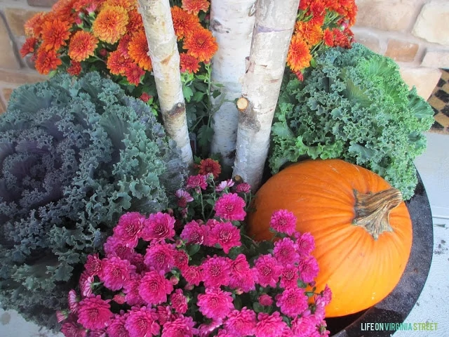 Pumpkin, kale, purple and orange flowers in large planter.