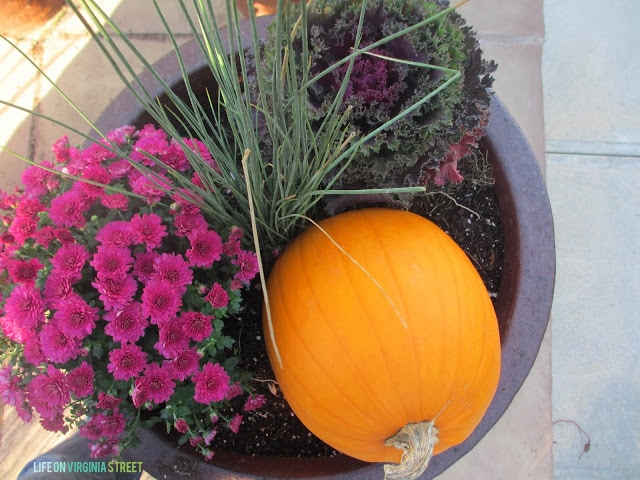 Planter filled with purple flowers, orange pumpkin, and kale.