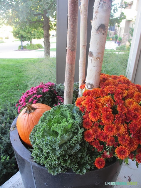 Vibrant red flowers with kale in planter on front porch.