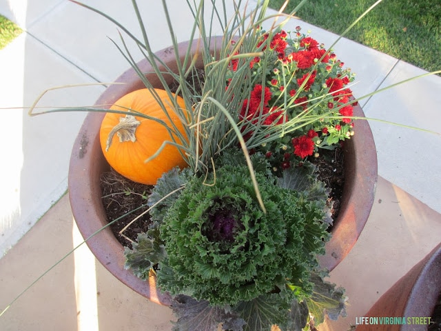 Large planter with kale, red flowers, and a pumpkin.