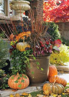 Fall Planter Inspiration | Life On Virginia Street