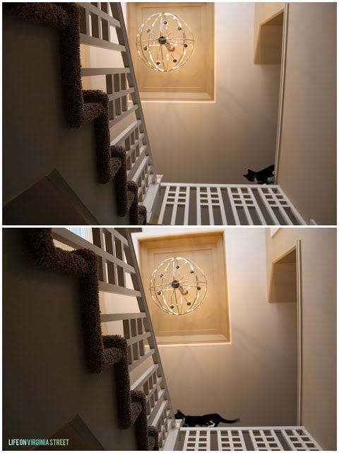 The cat stepping onto the bannister.