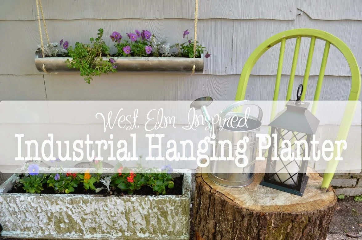 West Elm Industrial Hanging Planter graphic.