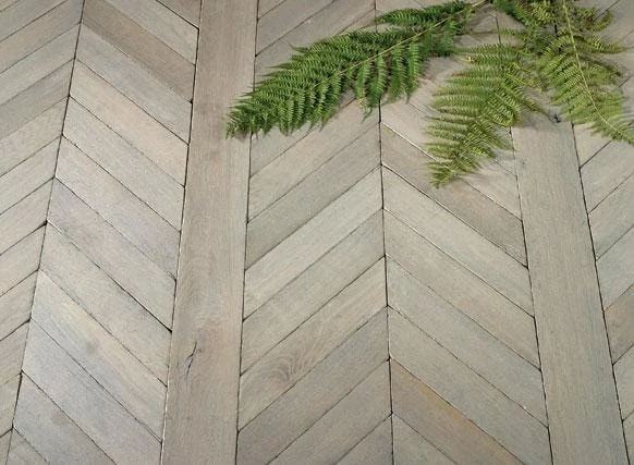 A light colored floor with fern branches on it.