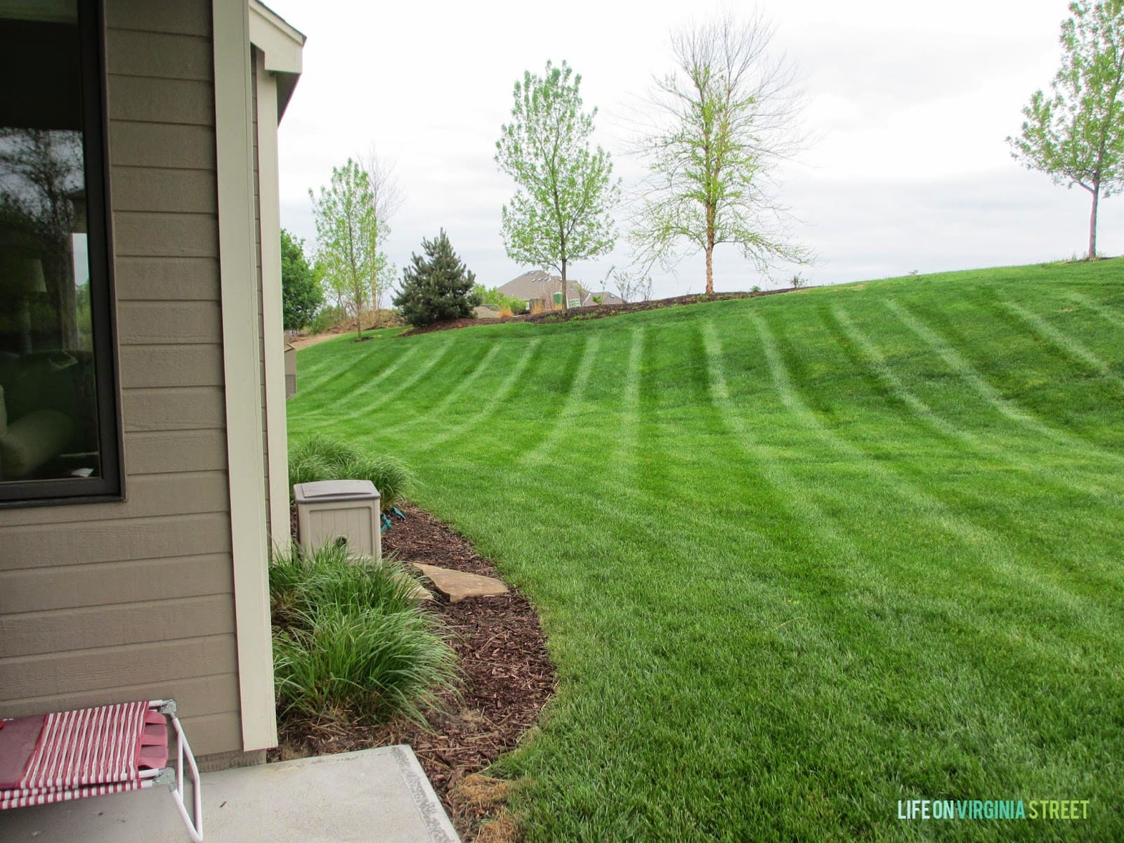 Our backyard in it's current, un-landscaped state.