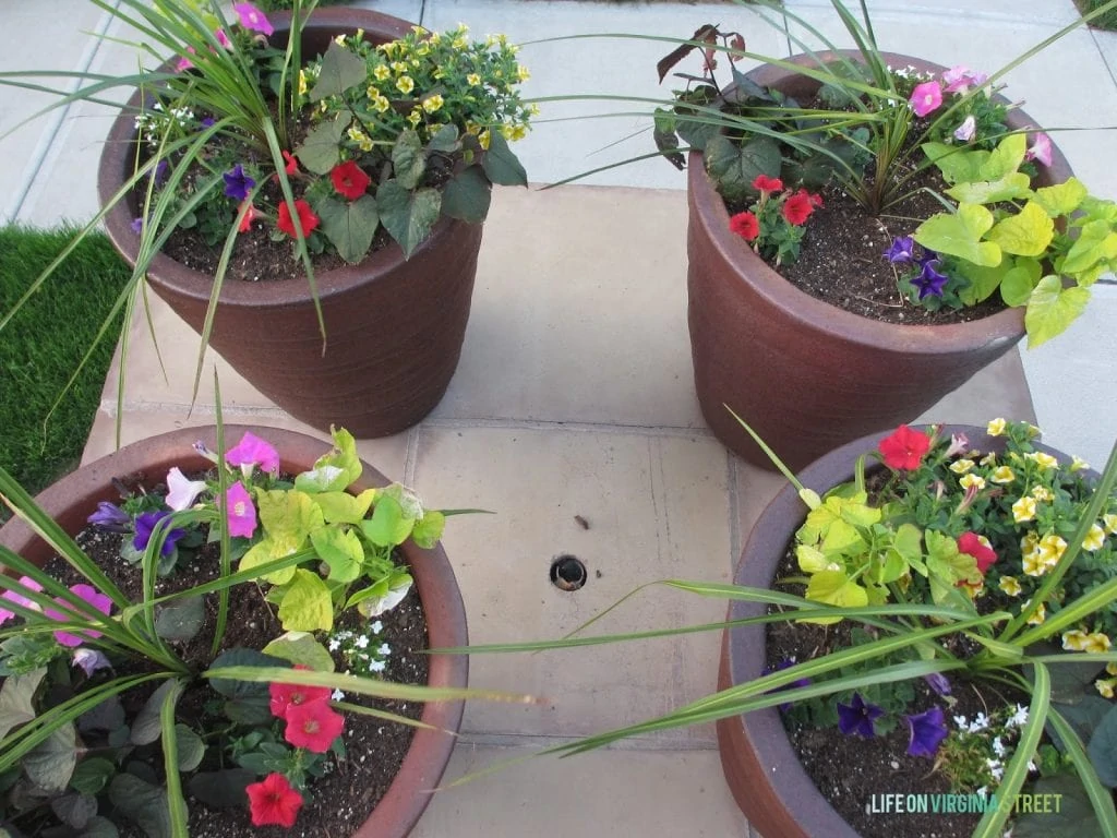 Four flowering planters on the front porch.