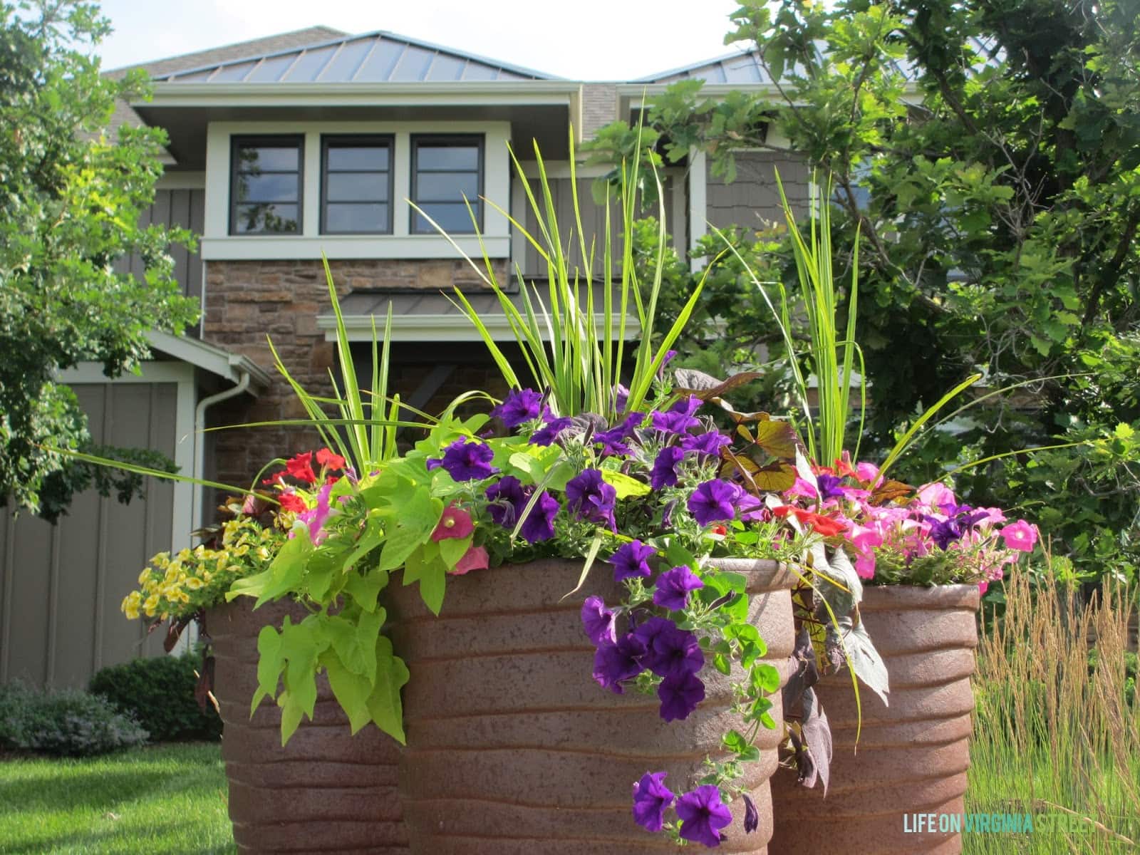 Planting Hydrangeas & Other Landscaping Ideas | Life On Virginia Street