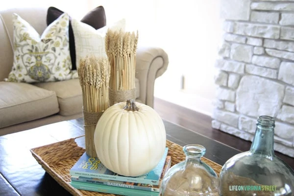 fall pillows and decor