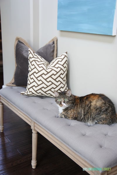 Entryway bench with henley the cat on the bench.