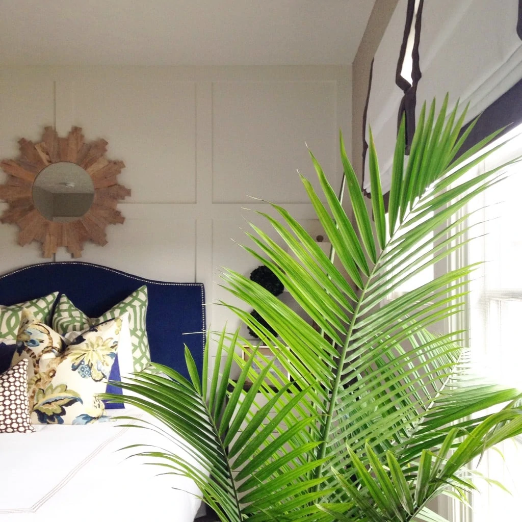 Palm fronds in the bedroom in front of the window.