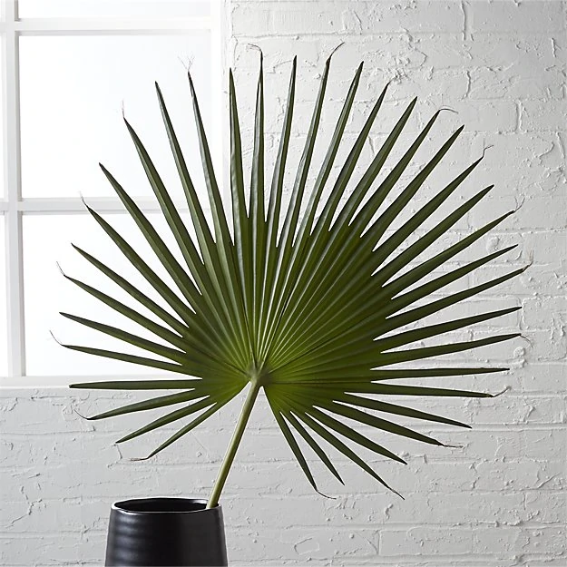 A large palm in a black vase in front of a white washed brick wall.