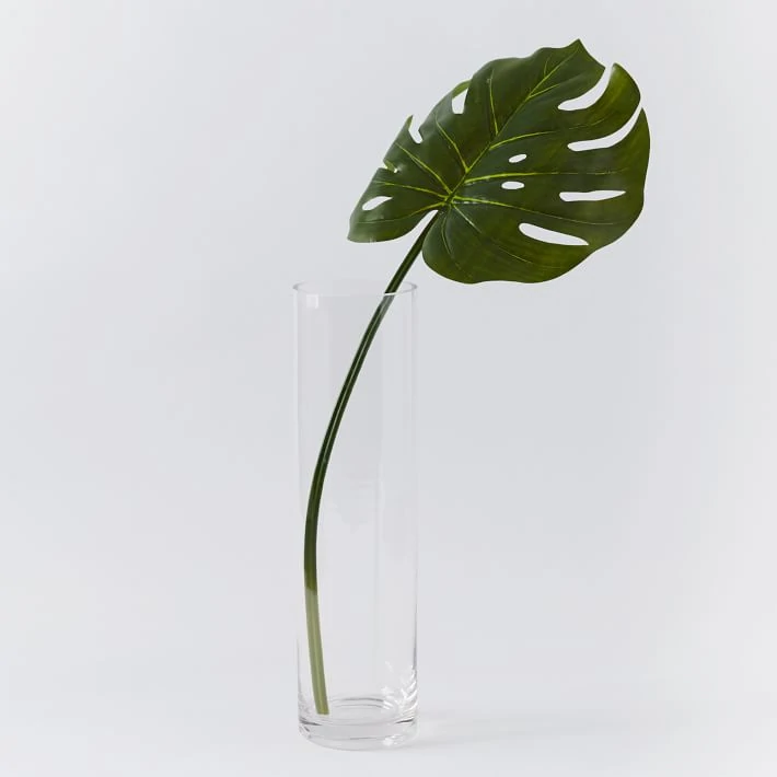 A single stem of palm in a vase with water.
