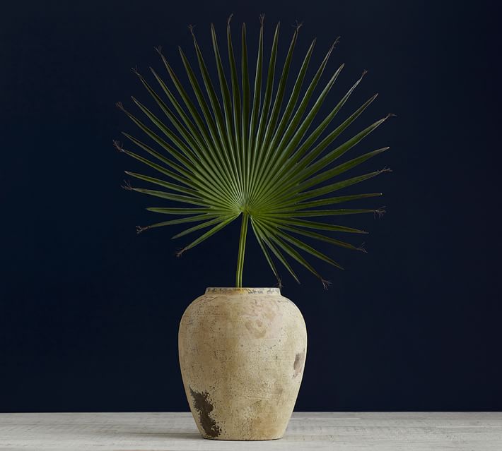 A Palmetto branch of palm in a vase in front f a black wall.