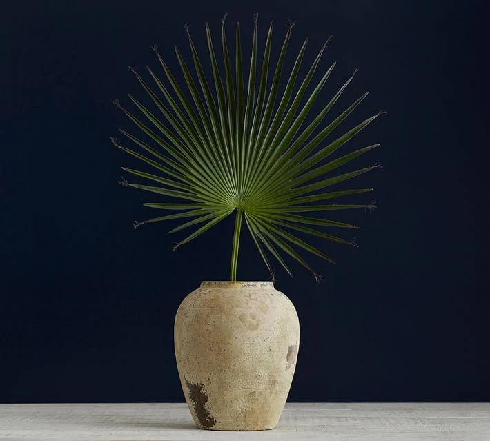 A Palmetto branch of palm in a vase in front f a black wall.
