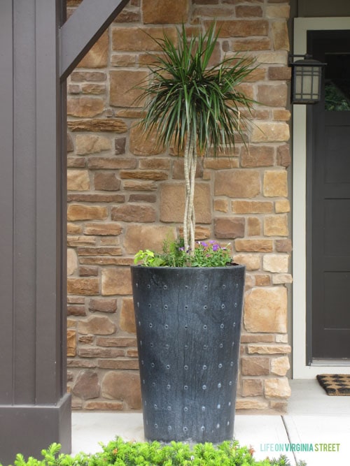 Front Porch Planters Spring 2015 - Life On Virginia Street