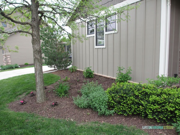 Front Yard Landscaping - Life On Virginia Street