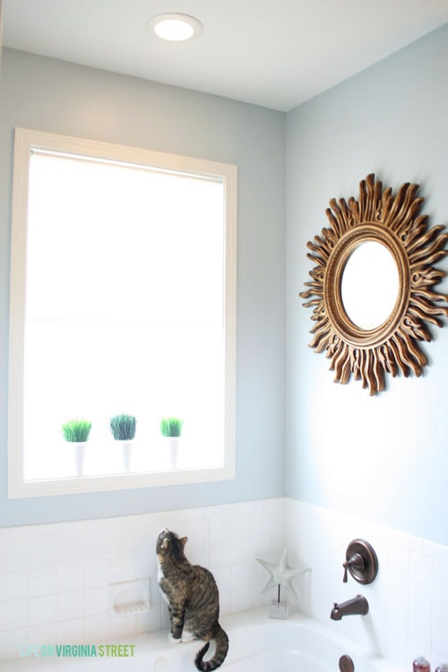 Master Bathroom - Life On Virginia Street