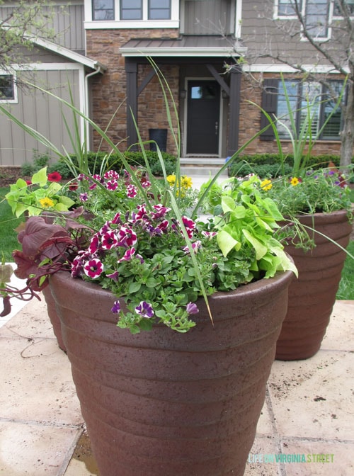 Monrovia Planters