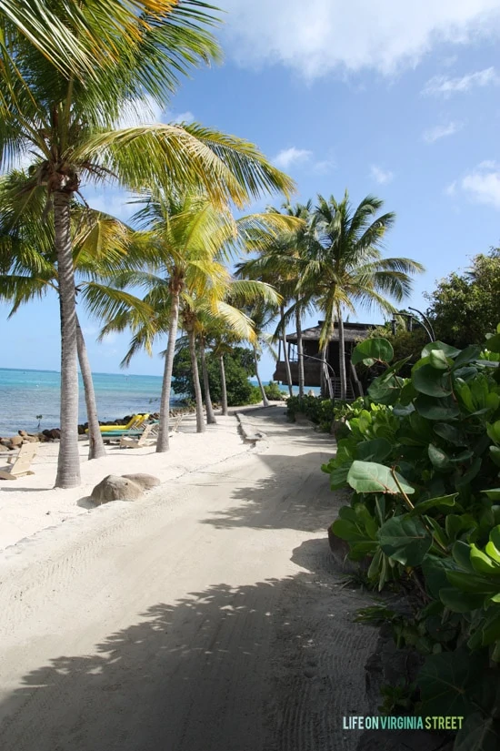 BVI - Bitter End Yacht Club walking path - Life On Virginia Street