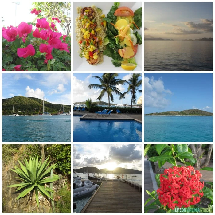 BVI - Collage - Life On Virginia Street