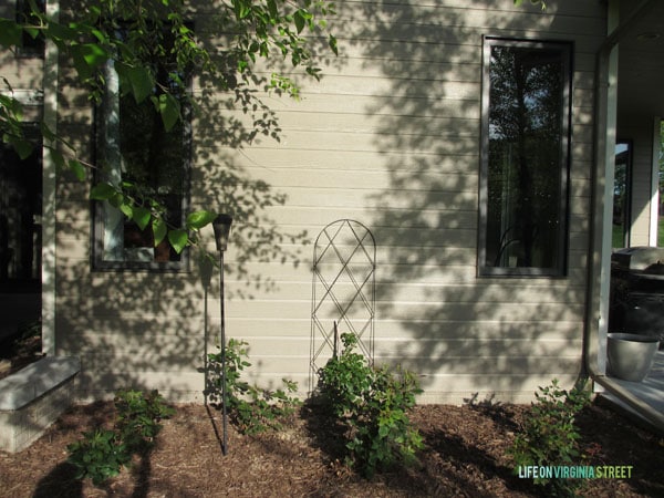Backyard Dining Room Trellis - Life On Virginia Street