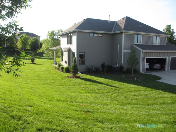 Backyard - Life On Virginia Street