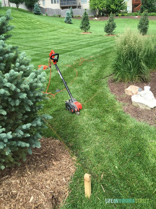 Backyard - Removing Grass - Life On Virginia Street