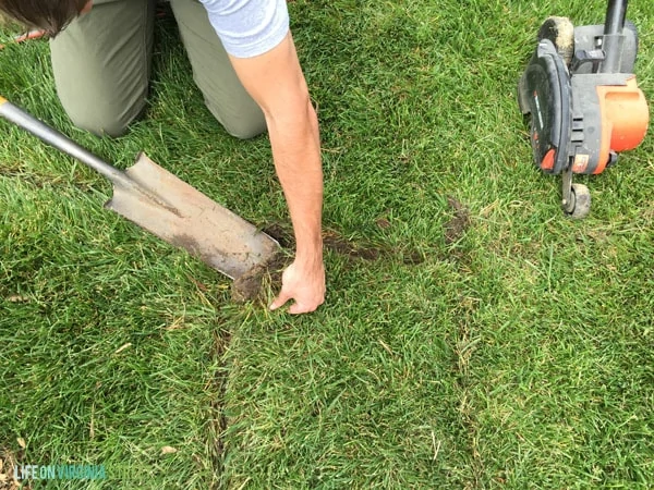 How To Remove Grass - Life On Virginia Street