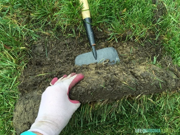 Backyard - How To Remove Grass - Life On Virginia Street