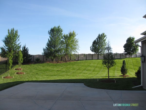 Backyard Side With Trees - Life On Virginia Street