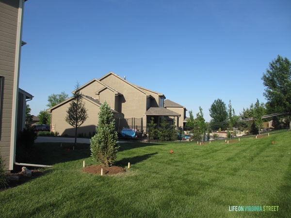 Backyard with Trees - Life On Virginia Street