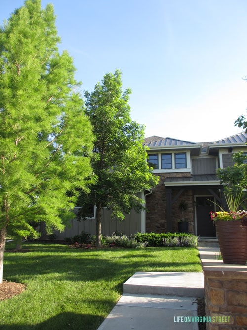 Front Yard Summer 2015 - Life On Virginia Street