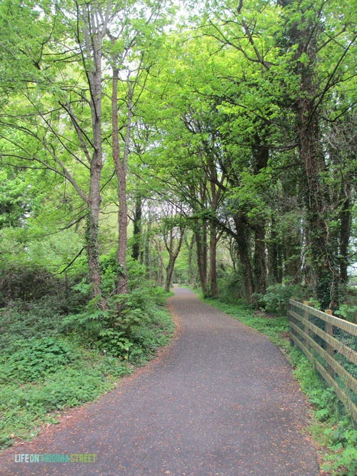 Ireland - Nature Path - Life On Virginia Street