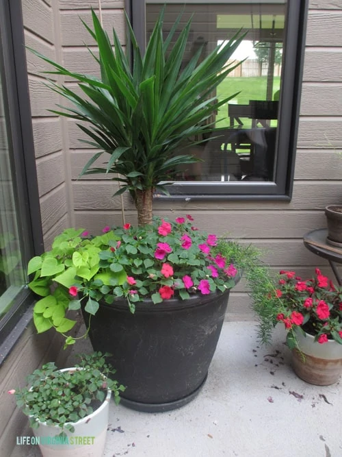 Planters - Courtyard - Life On Virginia Street